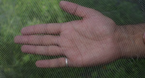 Bird Net - Image 2