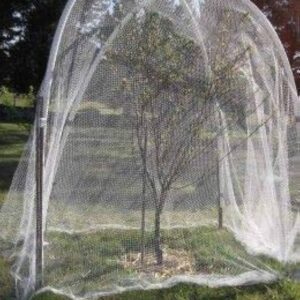Bird Net
